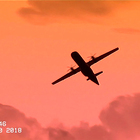 Frederik Croene & Karl Van Welden