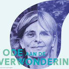 Ode aan de verwondering