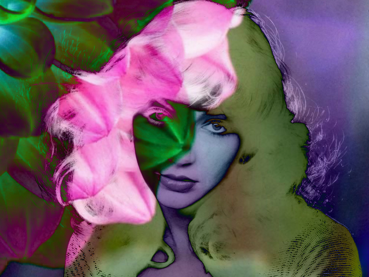 Kate Bush Tribute