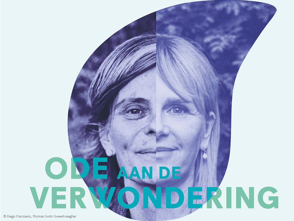Ode aan de verwondering